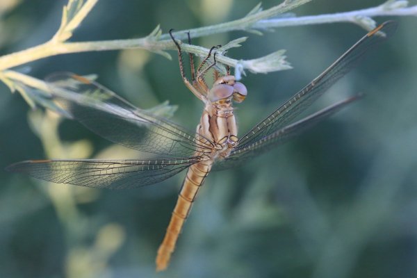 ТОП-20 фотографий за 14.06.2014 г.