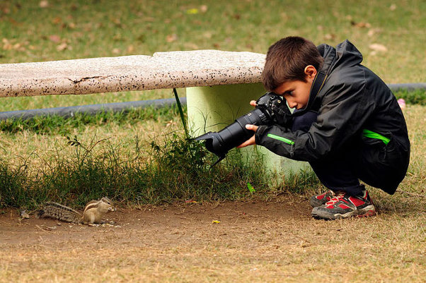 Лучший фотограф дикой природы 2014 - 9-летний Карлос Перес Нэвэл