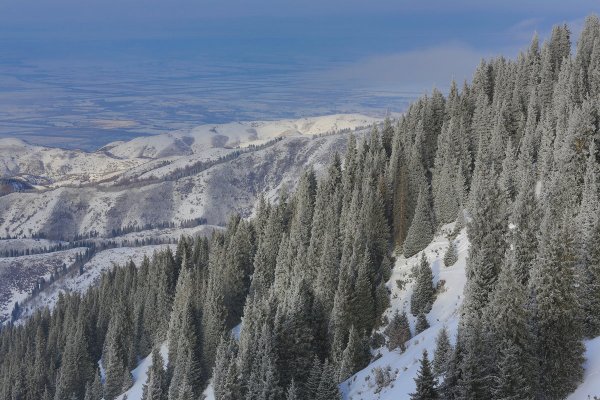 Народное голосование. ТОП-20 фотографий за 05.01.2015 г.