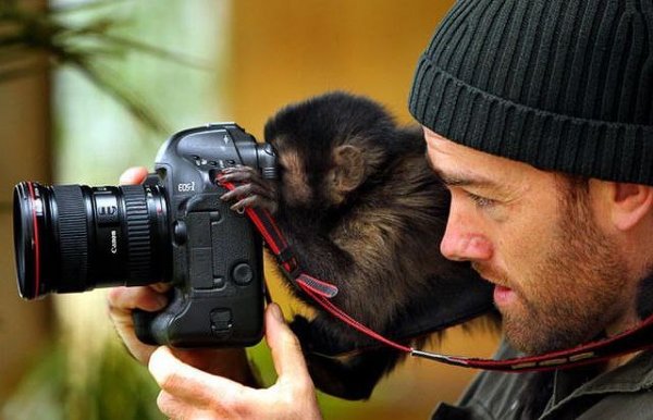 Советы, чтобы каждый начинающий фотограф мог избежать банальных кадров и ошибок туриста-фотографа.