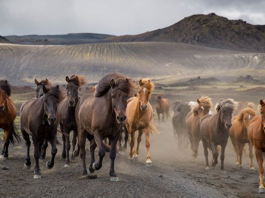 16 лучших фото февраля от National Geographic