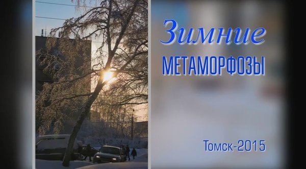 Зимние метаморфозы