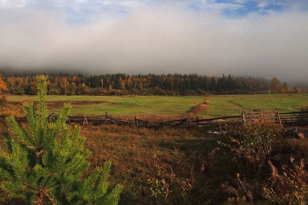 Народное голосование. ТОП-20 фотографий за 28.09.2016 г.