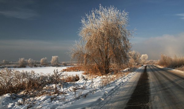 Народное голосование. ТОП-20 фотографий за 06.01.2017 г.