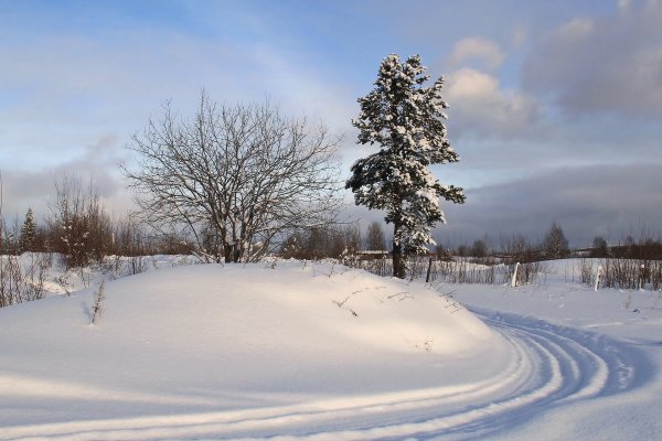 Народное голосование. ТОП-20 фотографий за 22.02.2017 г.