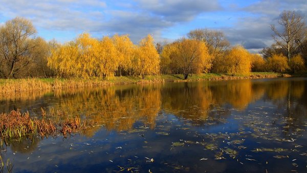 Народное голосование. ТОП-20 фотографий за 26.04.2017 г.