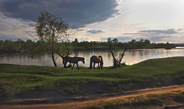 Народное голосование. ТОП-20 фотографий за 21.05.2017 г.