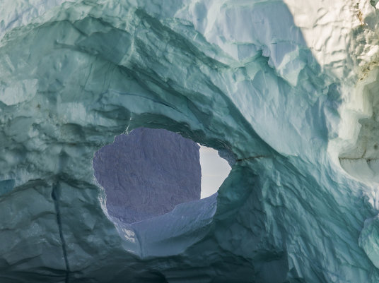 Арктика в фотографиях Дайан Тафт