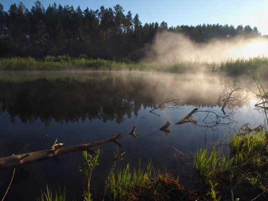 Народное голосование. ТОП-20 фотографий за 22.05.2017 г.