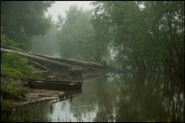 Народное голосование. ТОП-20 фотографий за 23.07.2017 г.