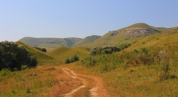 Народное голосование. ТОП-20 фотографий за 11.08.2017 г.