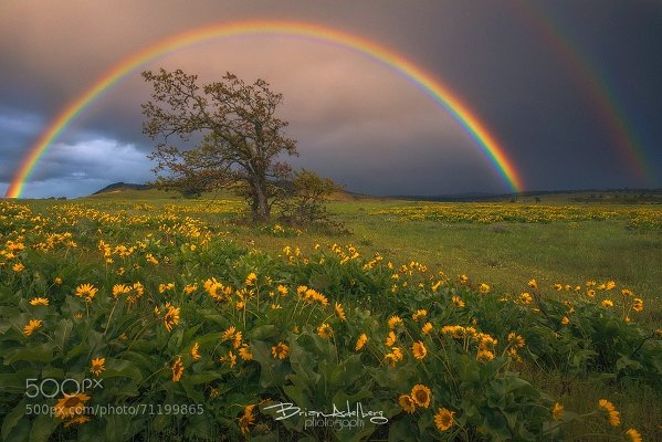 Как фотографировать радугу