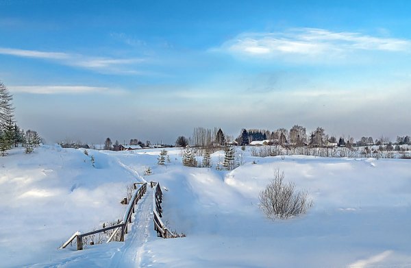 Народное голосование. ТОП-20 фотографий за 15.02.2018 г.