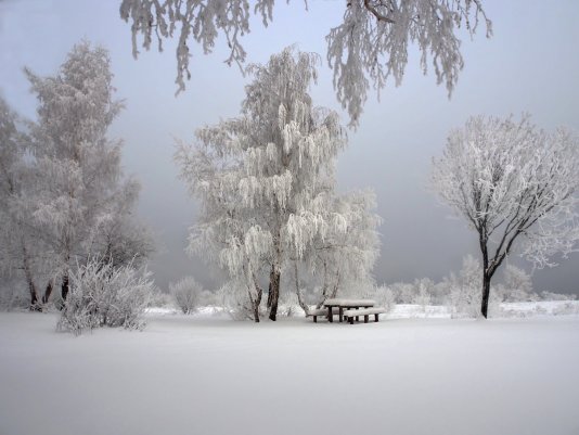 Народное голосование. ТОП-20 фотографий за 21.02.2018 г.
