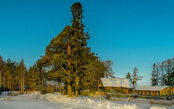 Народное голосование. ТОП-20 фотографий за 10.03.2018 г.