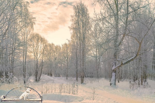 Народное голосование. ТОП-20 фотографий за 18.03.2018 г.