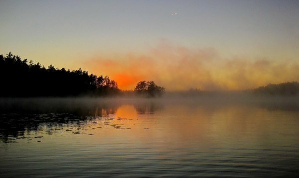 Народное голосование. ТОП-20 фотографий за 01.04.2018 г.