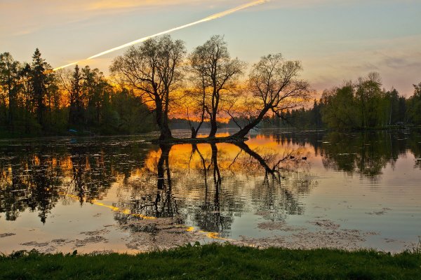 Народное голосование. ТОП-20 фотографий за 17.05.2018 г.