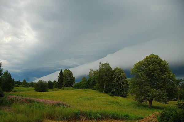 Народное голосование. ТОП-20 фотографий за 23.05.2018 г.