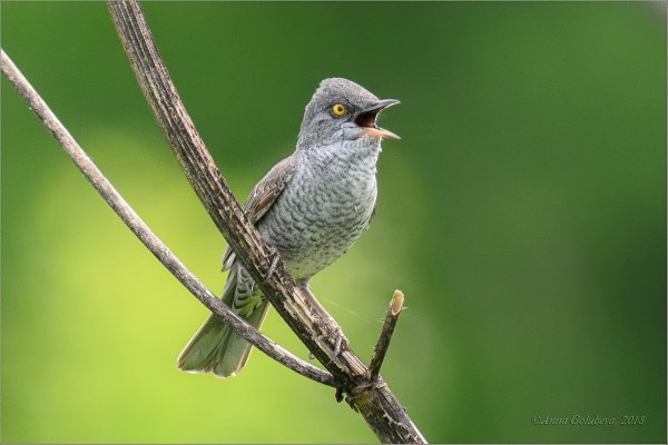 Народное голосование. ТОП-20 фотографий за 24.05.2018 г.