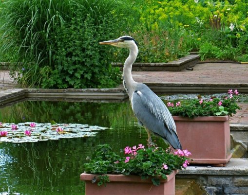 Народное голосование. ТОП-20 фотографий за 16.06.2018 г.