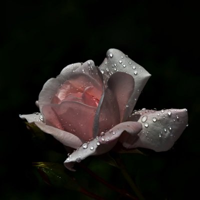 Народное голосование. ТОП-20 фотографий за 17.06.2018 г.