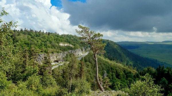 Народное голосование. ТОП-20 фотографий за 17.07.2018 г.