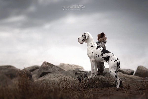 Фотограф Андрей Селиверстов