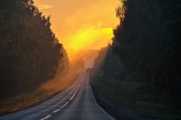 Народное голосование. ТОП-20 фотографий за 19.08.2018 г.