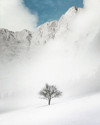 Фотограф Бенджамин Эверетт