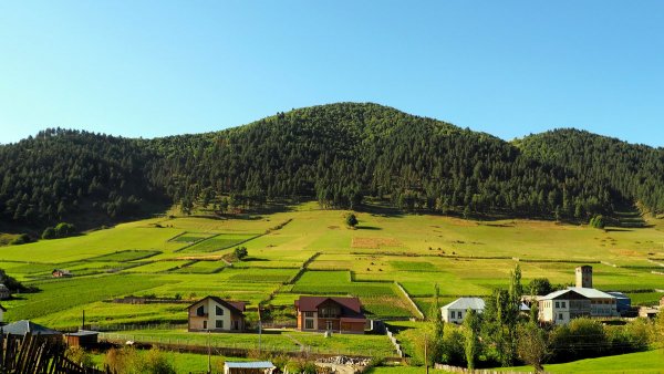 Народное голосование. ТОП-20 фотографий за 06.09.2018 г.