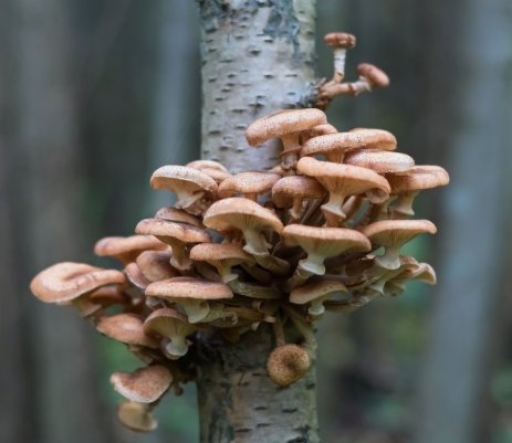 Народное голосование. ТОП-20 фотографий за 10.09.2018 г.
