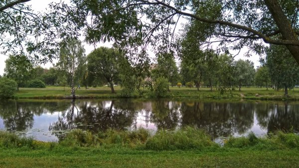 Народное голосование. ТОП-20 фотографий за 13.09.2018 г.
