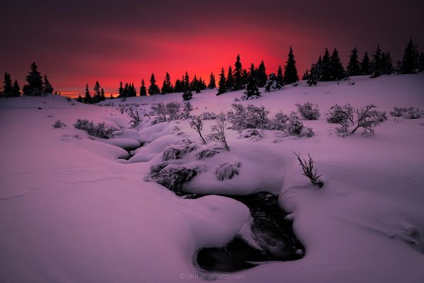 Фотограф Jоrn Allan Pedersen