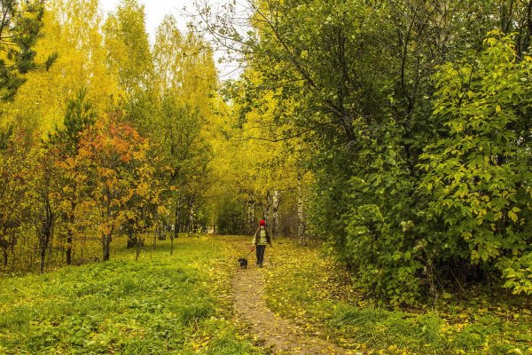 Народное голосование. ТОП-20 фотографий за 06.10.2018 г.