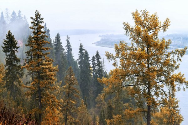 Народное голосование. ТОП-20 фотографий за 08.10.2018 г.