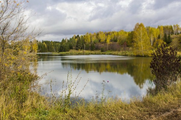 Народное голосование. ТОП-20 фотографий за 11.10.2018 г.