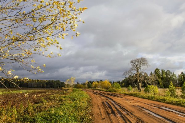 Народное голосование. ТОП-20 фотографий за 26.10.2018 г.