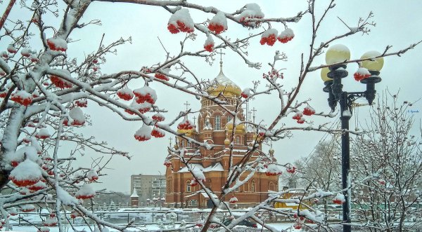 Народное голосование. ТОП-20 фотографий за 28.11.2018 г.