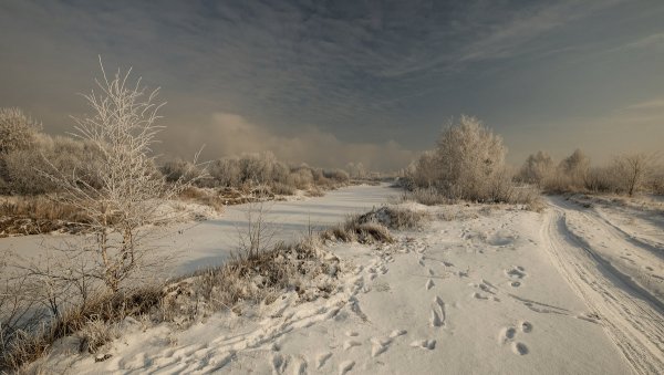 Народное голосование. ТОП-20 фотографий за 07.01.2019 г.