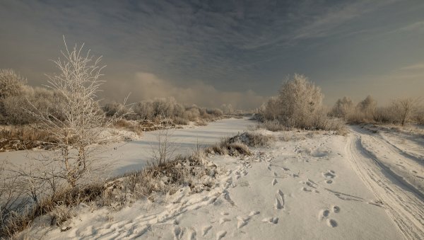 Народное голосование. ТОП-20 фотографий за 07.01.2019 г.