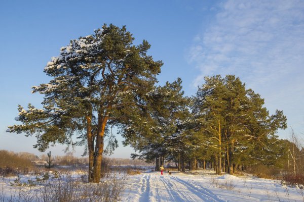 Народное голосование. ТОП-20 фотографий за 08.01.2019 г.