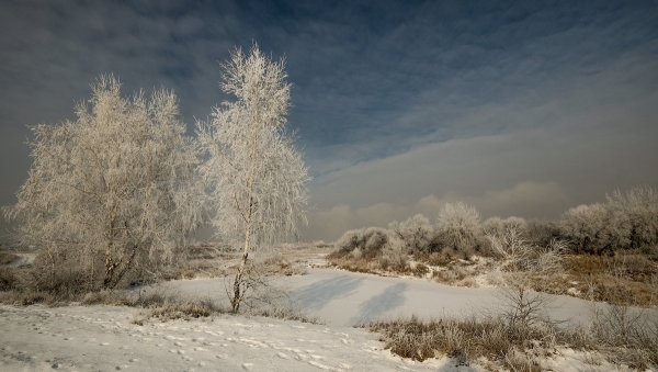 Народное голосование. ТОП-20 фотографий за 11.01.2019 г.