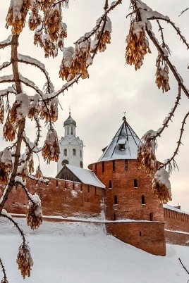 Народное голосование. ТОП-20 фотографий за 15.01.2019 г.