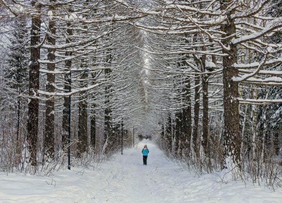 Народное голосование. ТОП-20 фотографий за 25.01.2019 г.