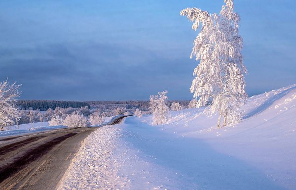 Народное голосование. ТОП-20 фотографий за 29.01.2019 г.