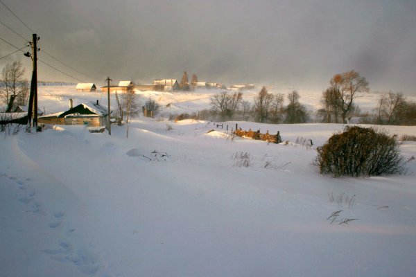 Народное голосование. ТОП-20 фотографий за 25.02.2019 г.