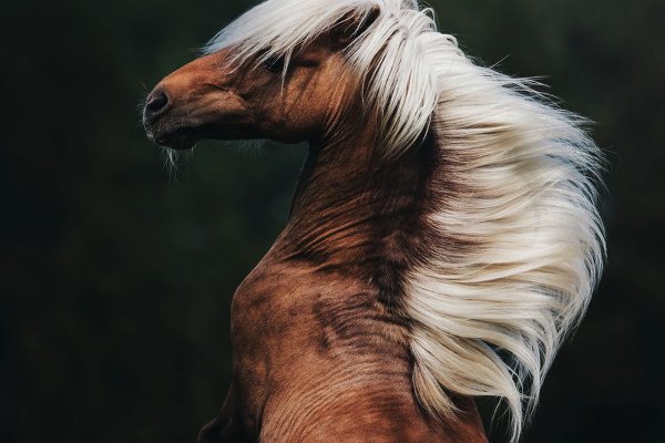 National Geographic Photo Contest 2018