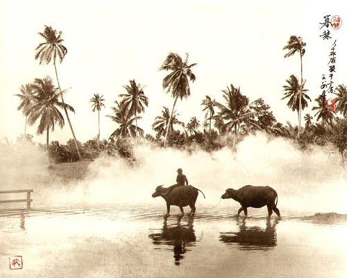 Фотограф Don Hong-Oai