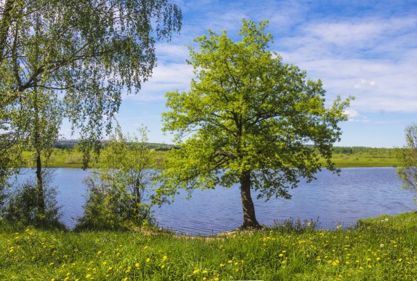 Народное голосование. ТОП-20 фотографий за 07.06.2019 г.